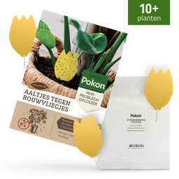 Productverpakking (aaltjes) toont zakje en brochure: aaltjes gepresenteerd in potgrond bij een kamerplant, gefotografeerd los op een neutrale achtergrond.
Getranscribeerde tekst (zichtbaar):
- Pokon
- SINCE 1929
- MIJN PROBLEEM OPLOSSER
- NATUURLIJK
- AA