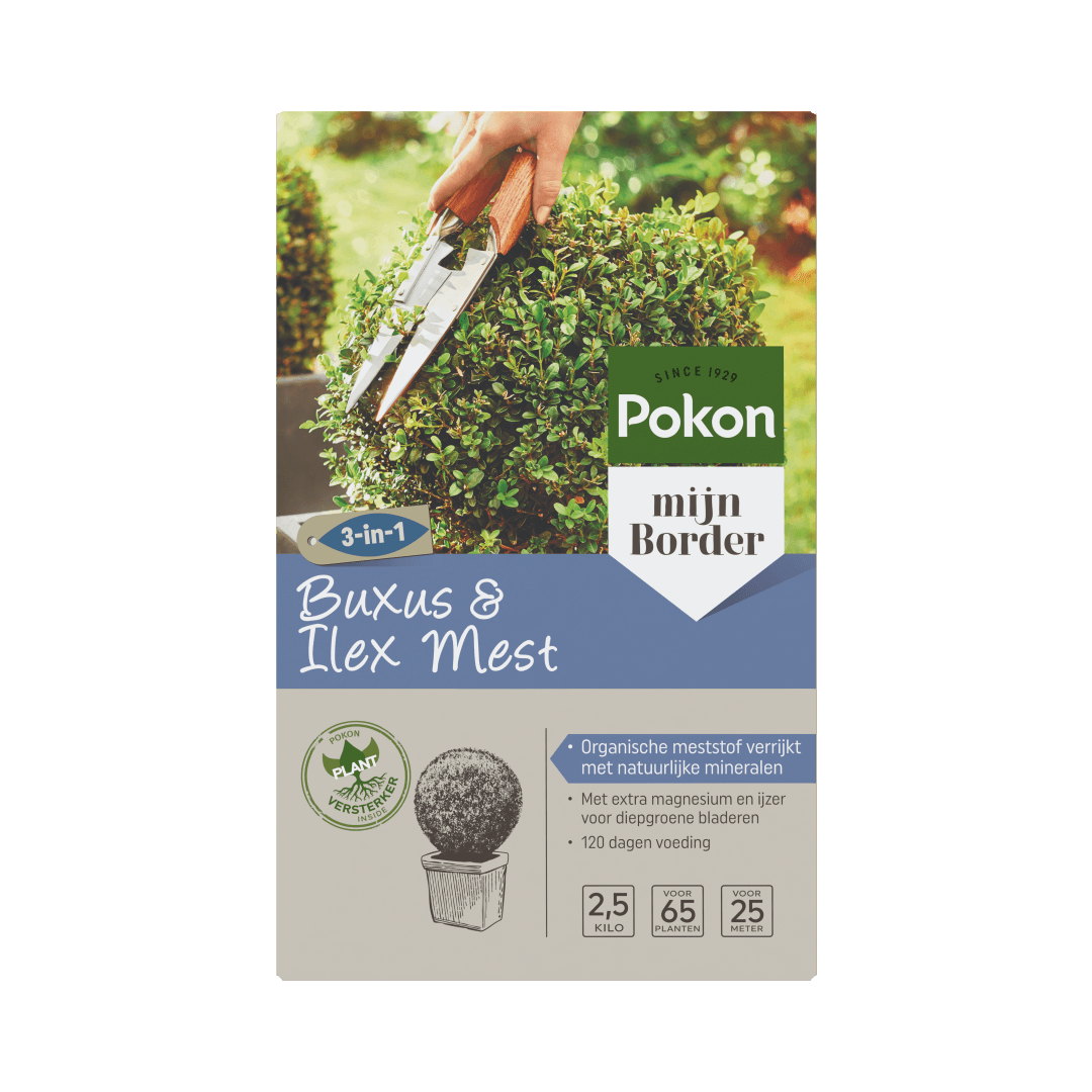 Zak Pokon-buxusmest (object) toont een hand die met een snoeischaar een bolvormige buxus bijwerkt (actie) tegen een zonnige, groene tuinachtergrond (context).

Getranscribeerde tekst:
SINCE 1929
Pokon
mijn Border
3-in-1
Buxus & Ilex Mest
POKON PLANT VERST