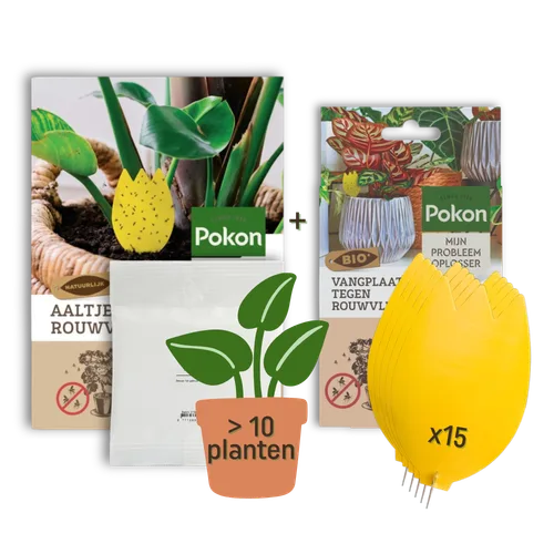Compositie van plantenzorgproducten: twee Pokon-verpakkingen met plantenfoto's, een pot-icoon (> 10 planten) en een stapel gele vangmarkers (x15) gefotografeerd tegen een neutrale achtergrond.
Getranscribeerde tekst (zichtbaar):
- Pokon
- SINCE 1929
- BI