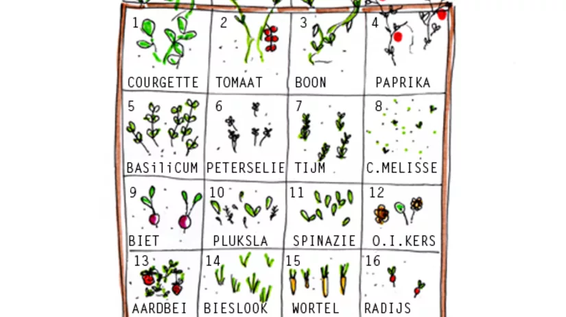 moestuinbak-plan-floor moestuinbak-plan-floor