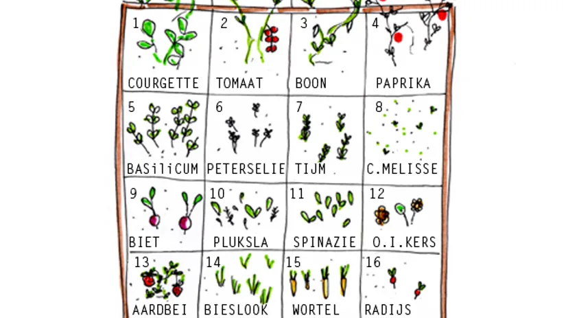 moestuinbak-plan-floor moestuinbak-plan-floor