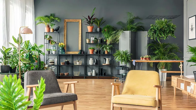 De botanische woonstijl De botanische woonstijl