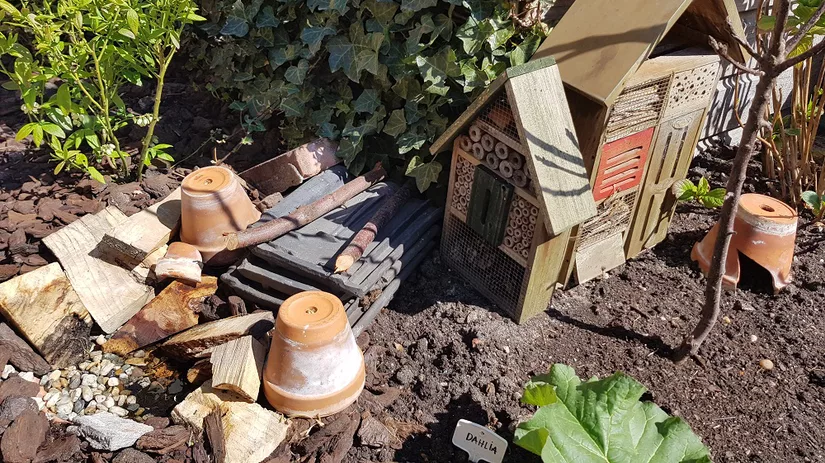 Rondje moestuin Rondje moestuin