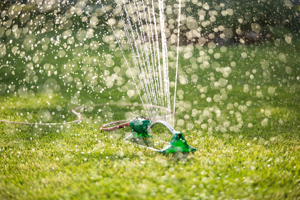 Gras sproeien Gras sproeien