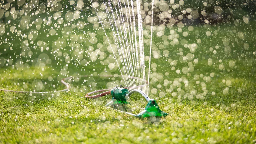 Gras sproeien Gras sproeien