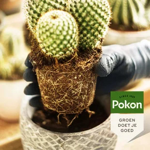 Culvita Universele Potgrond 40L - duurzame basis Culvita Universele Potgrond 40L - duurzame basis