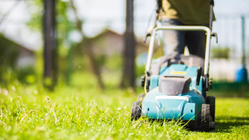 Wanneer gras maaien na de winter? Wanneer gras maaien na de winter?