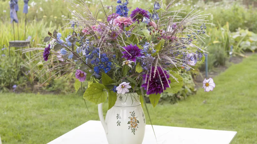 tuinevenement tuinevenement