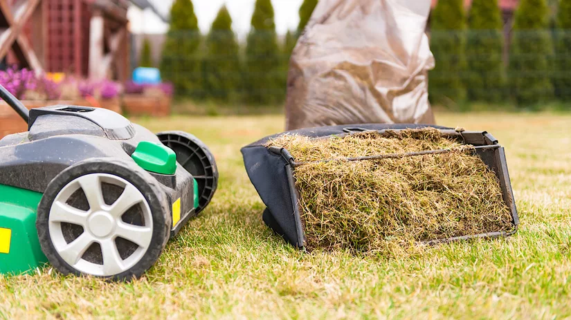 Verticuteren: verticuteerhark versus verticuteermachine Verticuteren: verticuteerhark versus verticuteermachine