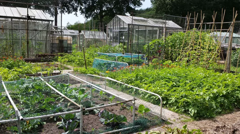 volkstuin-diana volkstuin-diana