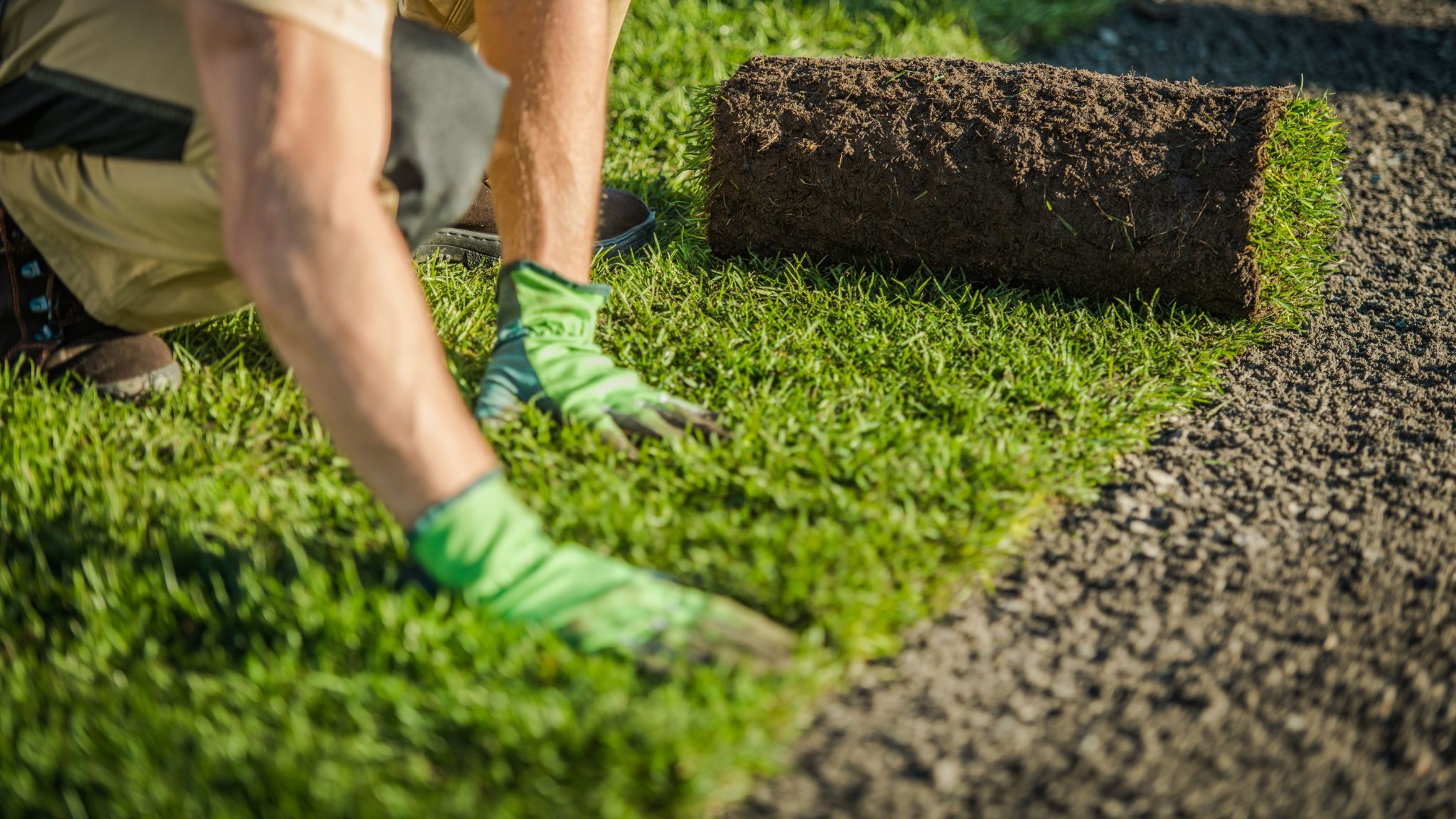 Gazon aanleggen in het najaar