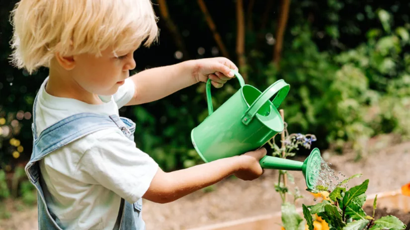 Zaaien & oogsten in juli Zaaien & oogsten in juli