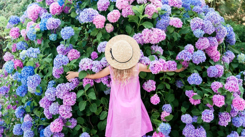 Top 6 tuintips om je tuin zomerklaar te maken Top 6 tuintips om je tuin zomerklaar te maken