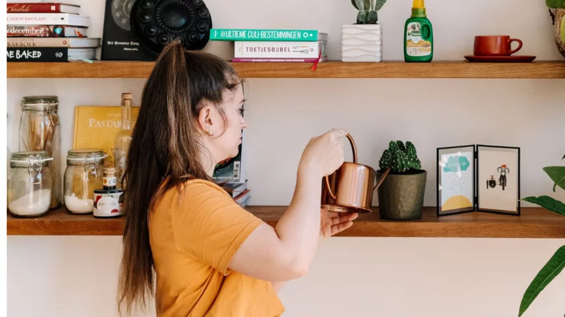 Hoe vaak kamerplanten water geven? Hoe vaak kamerplanten water geven?