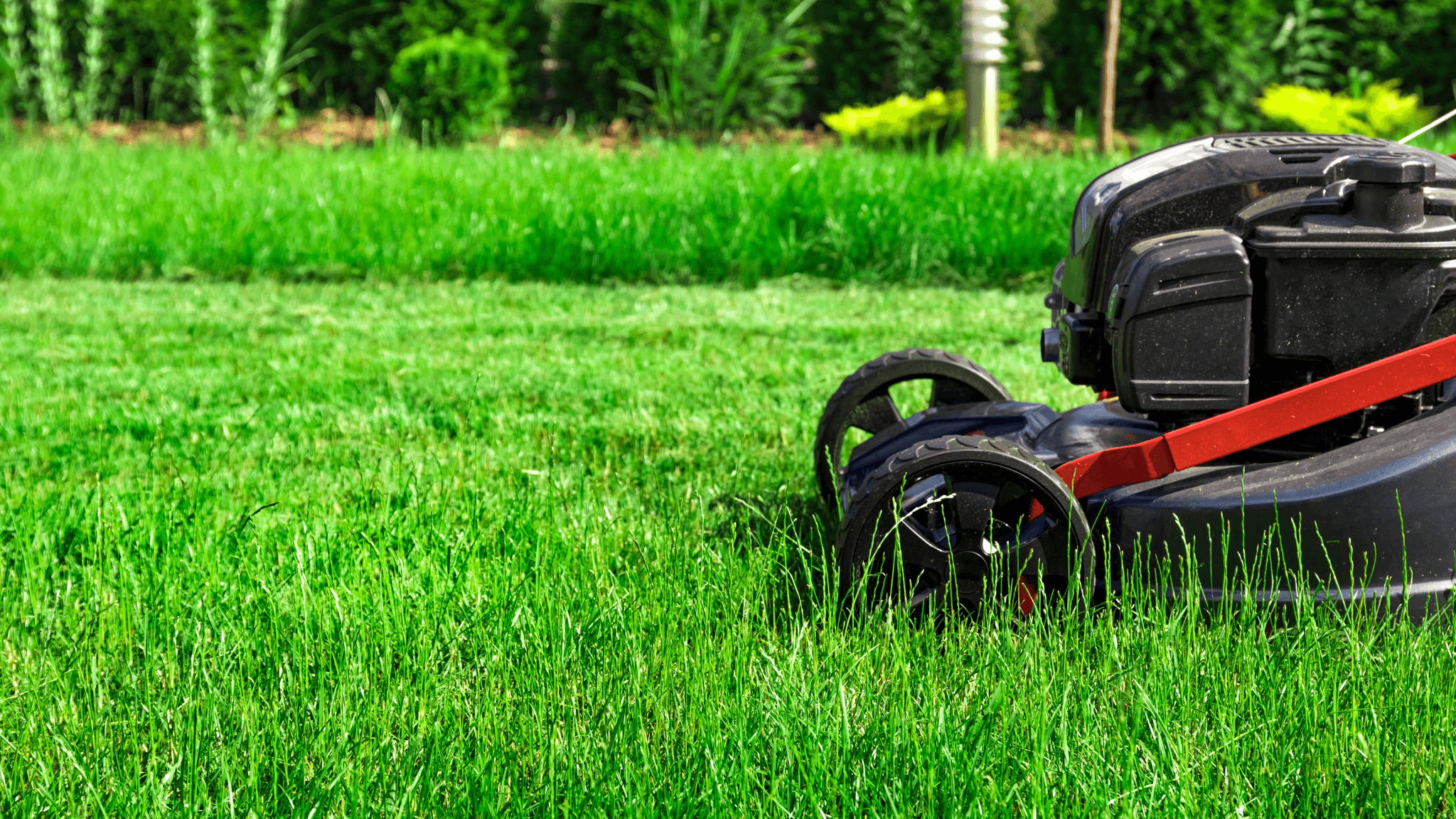 Wanneer gras maaien na het zaaien