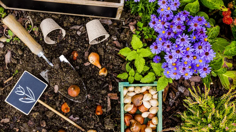 Genieten van jouw border: van lente tot winter Genieten van jouw border: van lente tot winter