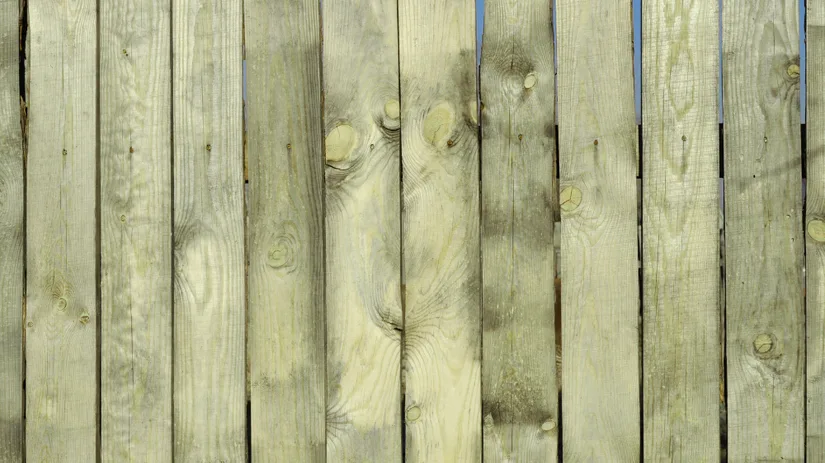 Groene aanslag verwijderen op de schutting.png Houten planken vormen een verticale schutting, dicht tegen elkaar geplaatst, met zichtbare houtnerven, knoesten en smalle openingen waar blauwe lucht tussen doorschemert.