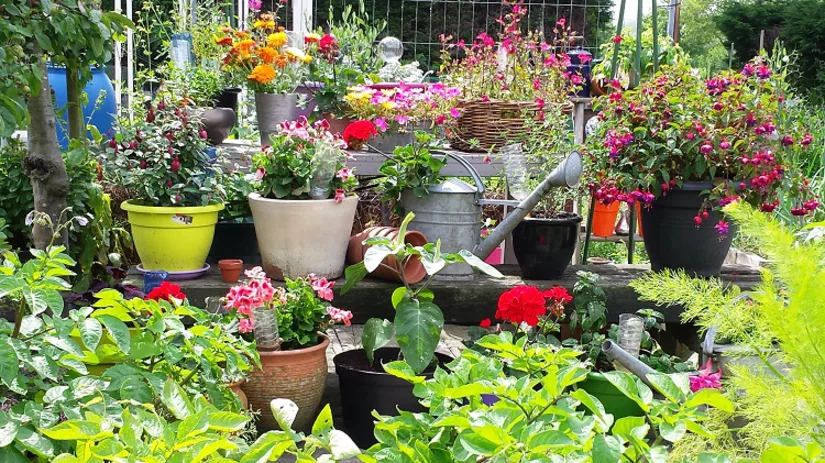 potten-in-de-tuin-3 potten-in-de-tuin-3