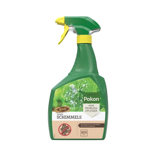 Groene sprayfles met gele sproeikop staat rechtop tegen een effen grijze achtergrond. Tekst op etiket: "Pokon", "SINCE 1929", "MIJN PROBLEEM OPLOSSER", "BIO", "TEGEN SCHIMMELS", "Spuitzwavel voor bestrijding van echte meeldauw", "800 ML".