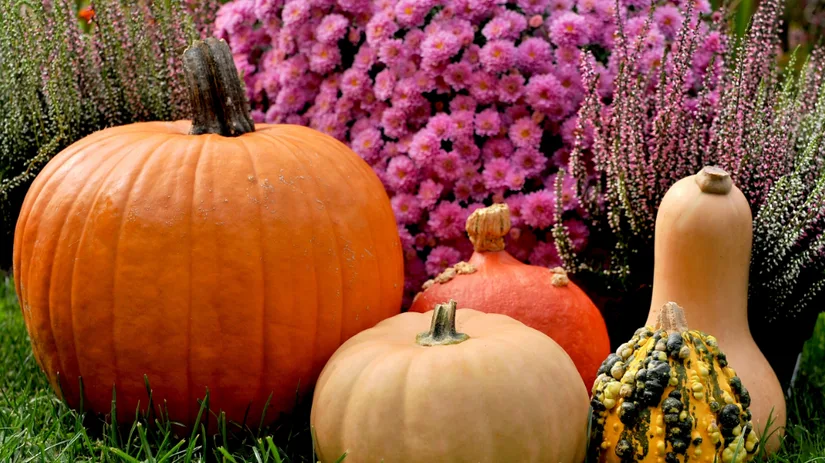 Border klaarmaken voor de herfst.png Border klaarmaken voor de herfst.png