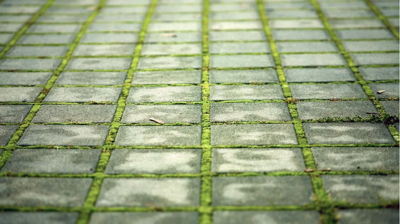 Groene aanslag op terras verwijderen.png Groene aanslag op terras verwijderen.png