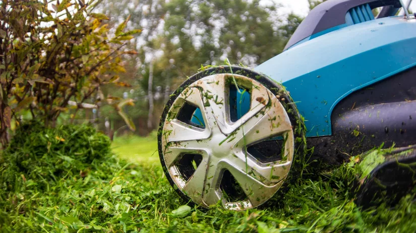 Mulchen na maaien: dé stap naar gezonder gazon Mulchen na maaien: dé stap naar gezonder gazon