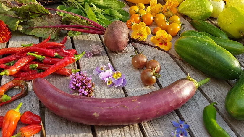 Een verzameling groenten en eetbare bloemetjes Een houten tuintafel vol met groenten, eetbare bloemen en specerijen.