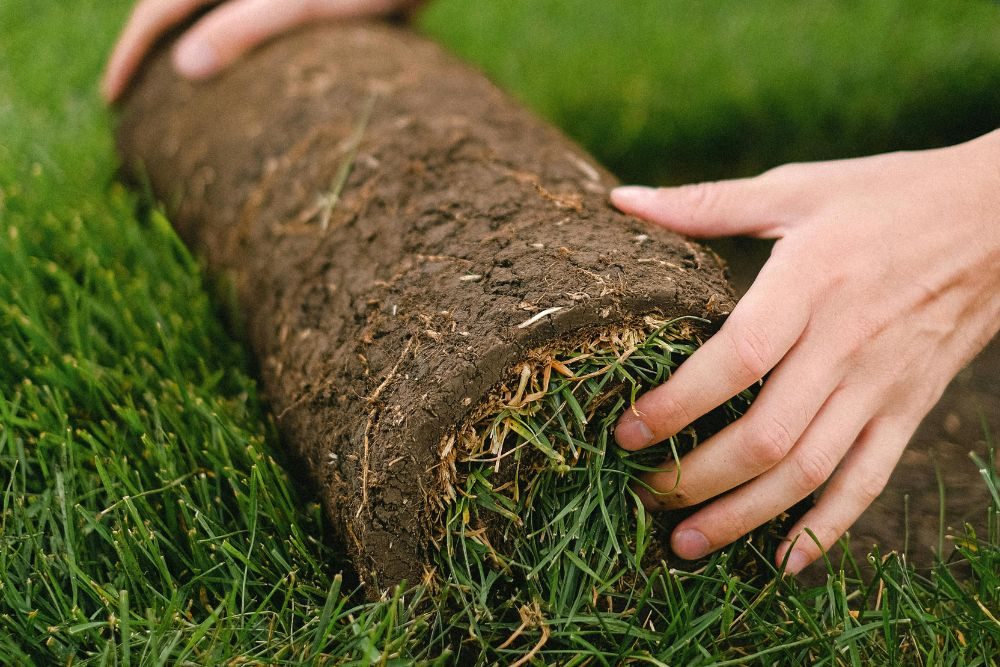 Graszode (rol) wordt met beide handen uitgerold en geplaatst op donkere aarde, aansluitend tegen bestaand groen gras in een tuin of gazon.