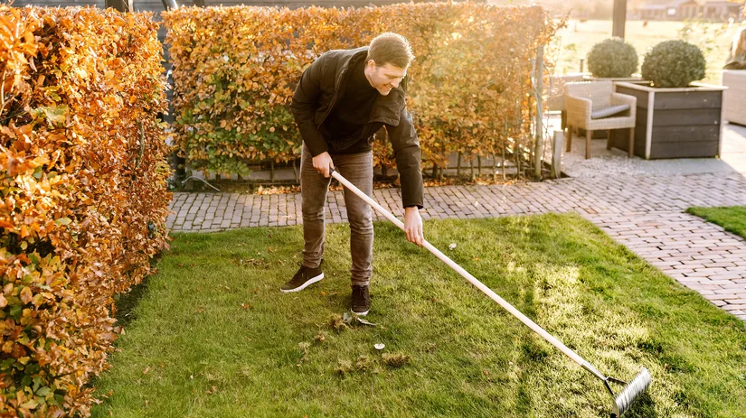 Gras onderhoud voorjaar Gras onderhoud voorjaar