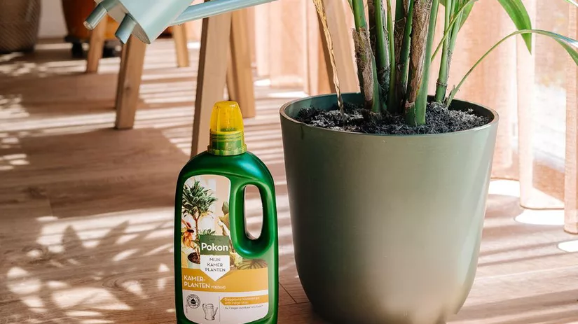 Beste plantenvoeding.jpg Beste plantenvoeding.jpg