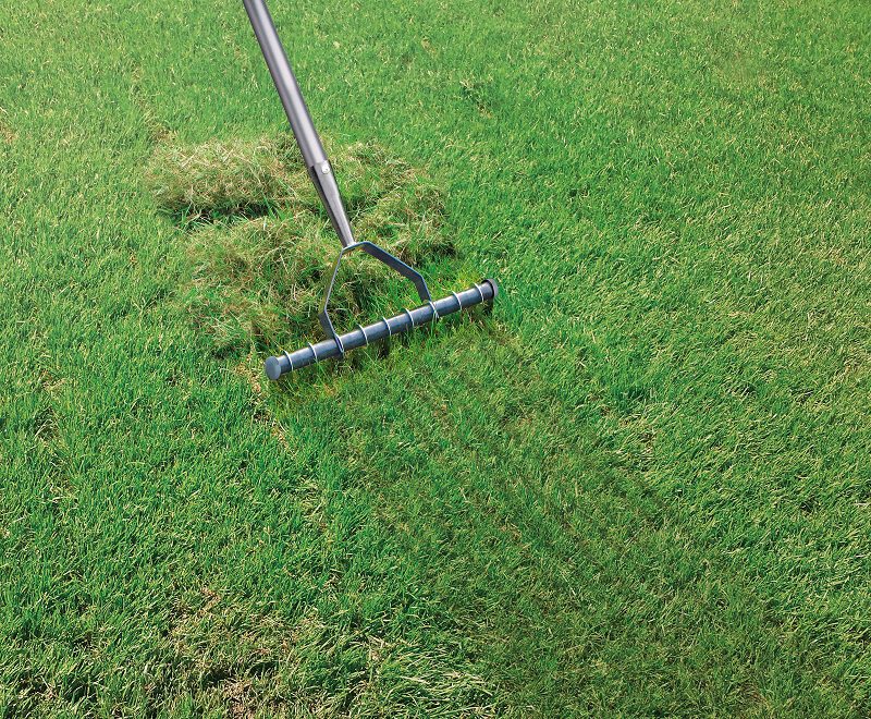 Verticuteer je gazon Wanneer gras verticuteren?
