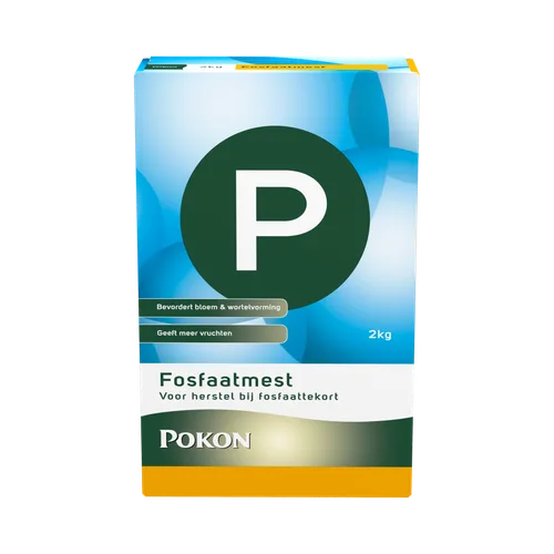 Doos fosfaatmest (Pokon) toont groot groen "P" en productinformatie: "Bevordert bloem & wortelvorming", "Geeft meer vruchten", "2kg", "Fosfaatmest", "Voor herstel bij fosfaattekort", "POKON". Staand op effen achtergrond.