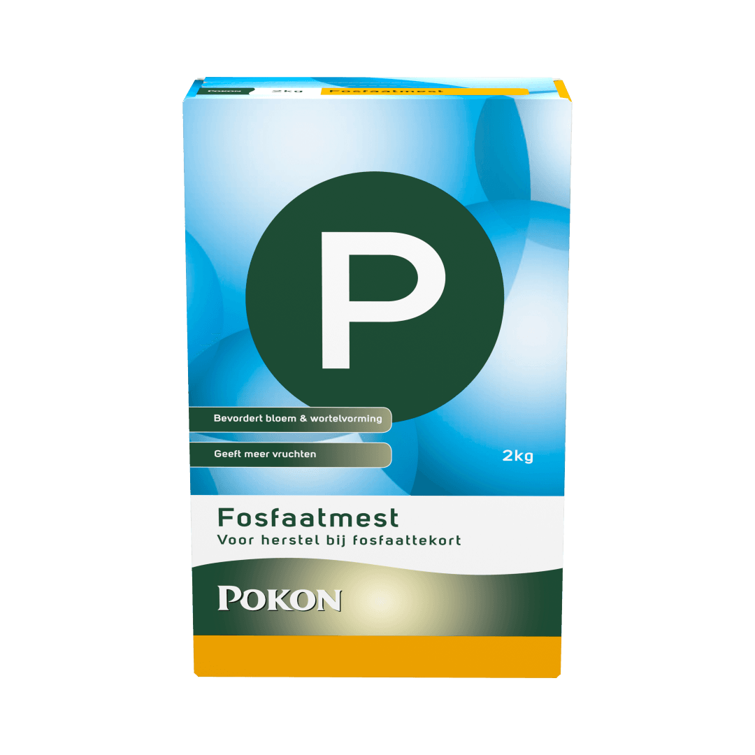 Doos fosfaatmest (Pokon) toont groot groen "P" en productinformatie: "Bevordert bloem & wortelvorming", "Geeft meer vruchten", "2kg", "Fosfaatmest", "Voor herstel bij fosfaattekort", "POKON". Staand op effen achtergrond.