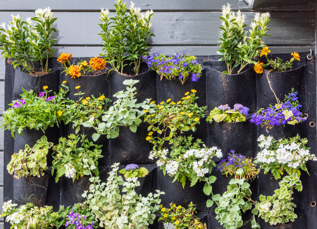 Verticaal tuinieren