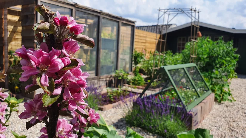 Floors moestuin Floors moestuin met gekleurde bloemen