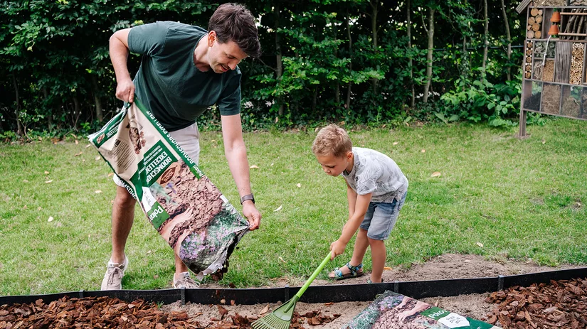 Bodembedekkers in de border Bodembedekkers in de border