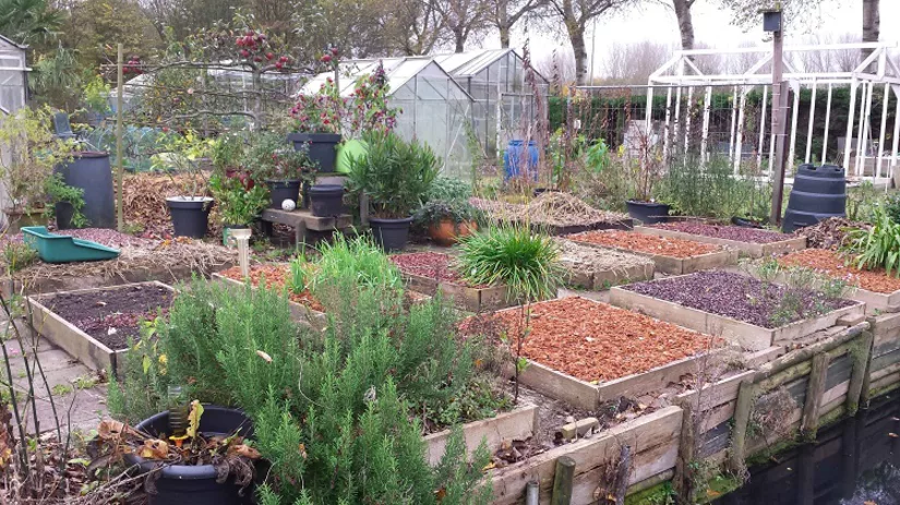 bakken-diana bakken-diana