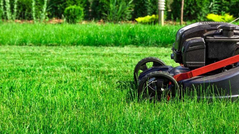 Grasmaaien in de winter Grasmaaien in de winter