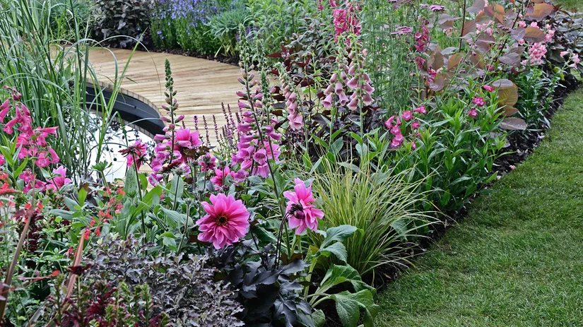 Kleurrijke border Een mooie kleurrijke border aan het water als ultieme borderinspiratie