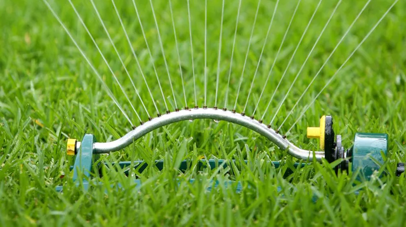 Gras sproeien na maaien Gras sproeien na maaien