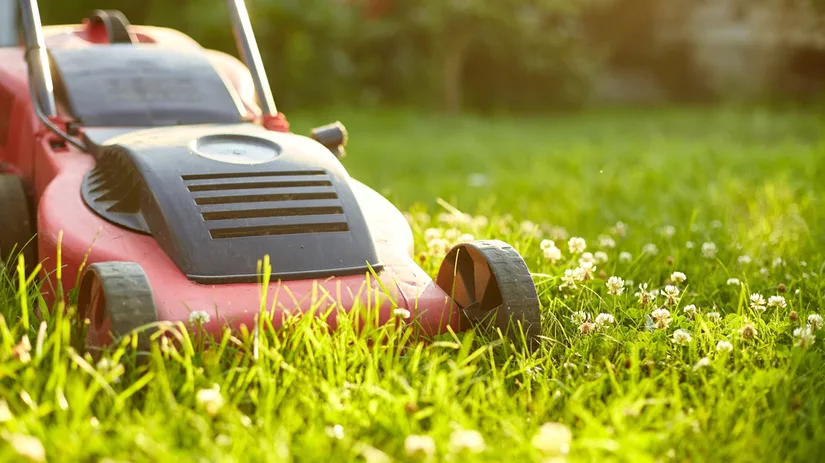 De 6 vragen die je jezelf moet stellen als je een grasmaaier uitzoekt De 6 vragen die je jezelf moet stellen als je een grasmaaier uitzoekt