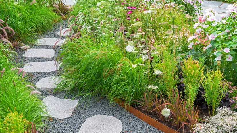 Winter Maak nu alvast je plan voor een zomerborder .png Winter Maak nu alvast je plan voor een zomerborder .png