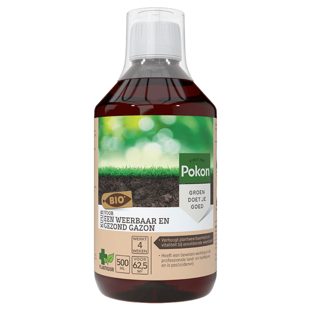 Een fles plantenvoeding (Pokon) toont een etiket met gras en aarde en gebruiksinformatie op een witte achtergrond.

Gevonden tekst:
Pokon
SINCE 1929
GROEN DOET JE GOED
BIO
VOOR EEN WEERBAAR EN GEZOND GAZON
WERKT 4 WEKEN
PLANTKUUR
500 ML
VOOR 62,5 M2
- Ver