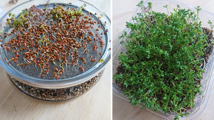 floor-2-eindresultaat floor-2-eindresultaat