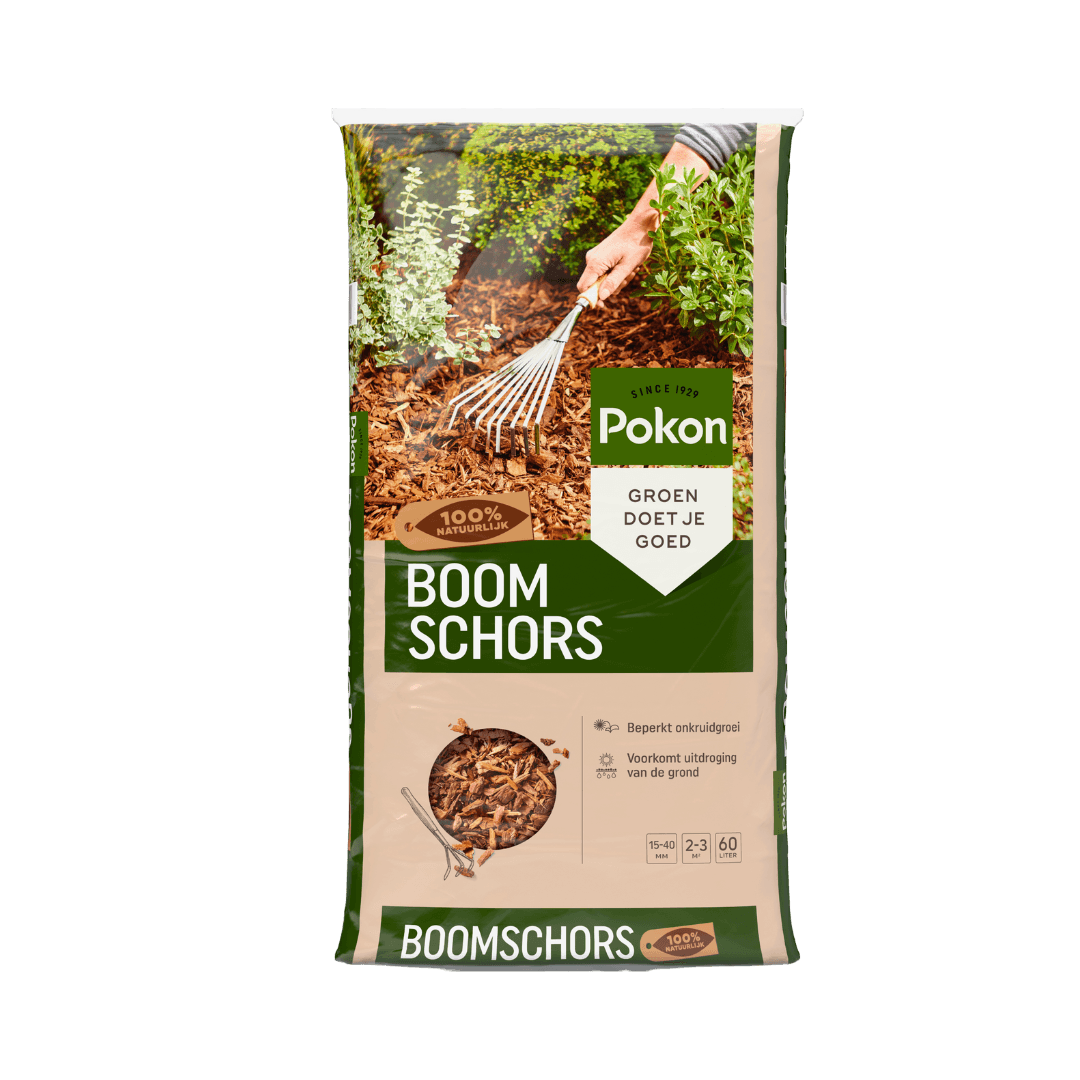 Een zak boomschors: een hand rakt bruine schors rond planten met een hark, in een tuinborder omgeven door groen.

Tekst in beeld:
- SINCE 1929
- Pokon
- GROEN DOET JE GOED
- 100% NATUURLIJK
- BOOM SCHORS
- Beperkt onkruidgroei
- Voorkomt uitdroging van de