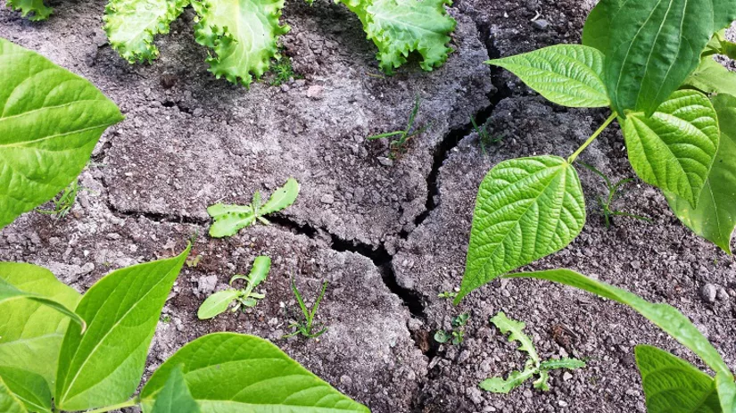 4 Scheuren in de grond 4 Scheuren in de grond