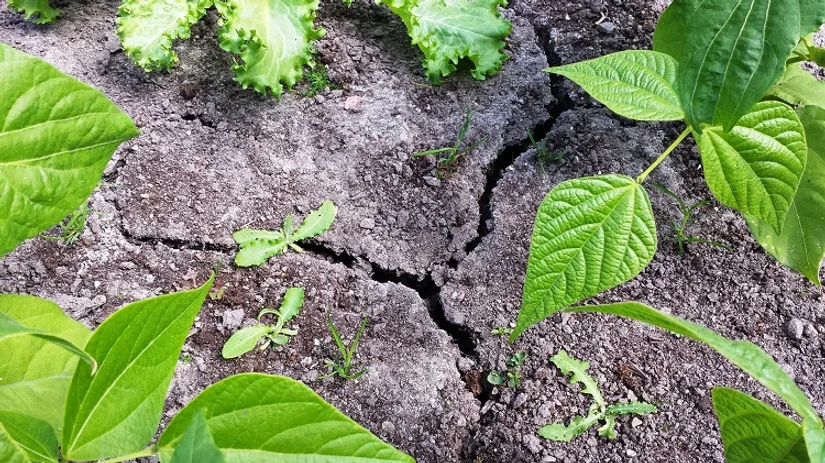 4 Scheuren in de grond 4 Scheuren in de grond