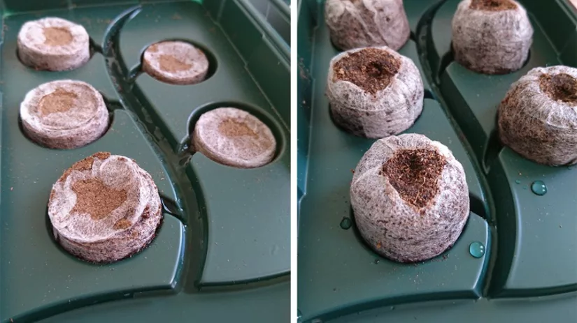 potgrond-tabletten-floor potgrond-tabletten-floor