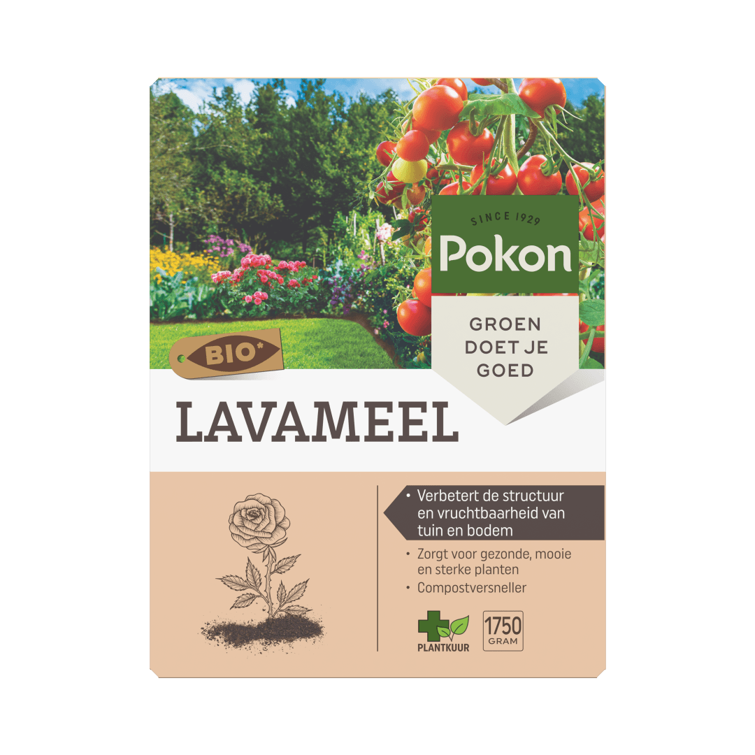Pak lavameel — toont merknaam, productnaam en voordelen — tegen een kleurrijke tuinachtergrond met tomaten en bloemen.

Tekst in afbeelding:
SINCE 1929
Pokon
GROEN DOET JE GOED
BIO*
LAVAMEEL
• Verbetert de structuur en vruchtbaarheid van tuin en bodem
• Z