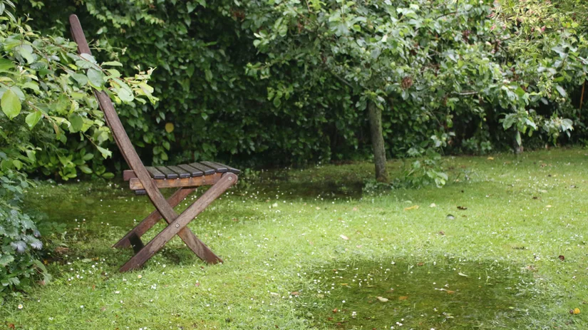 Zo voorkom je plassen op je gazon Zo voorkom je plassen op je gazon